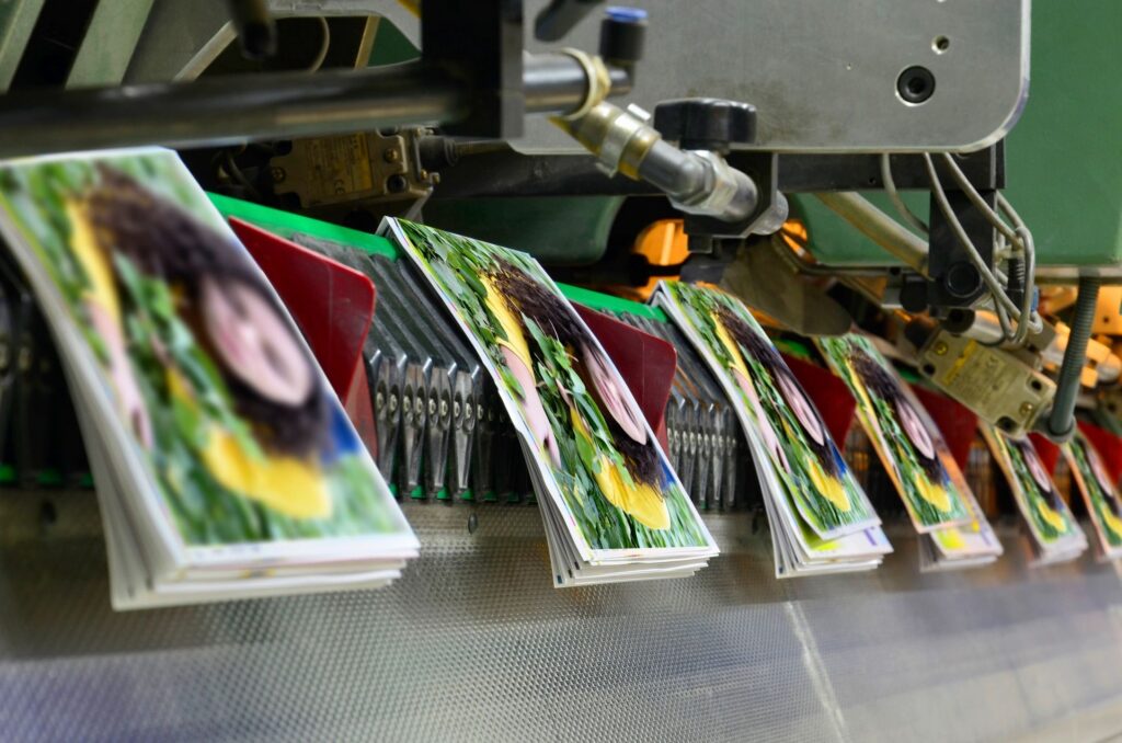 Flyers Post Cards Printing For U Smart Colors
